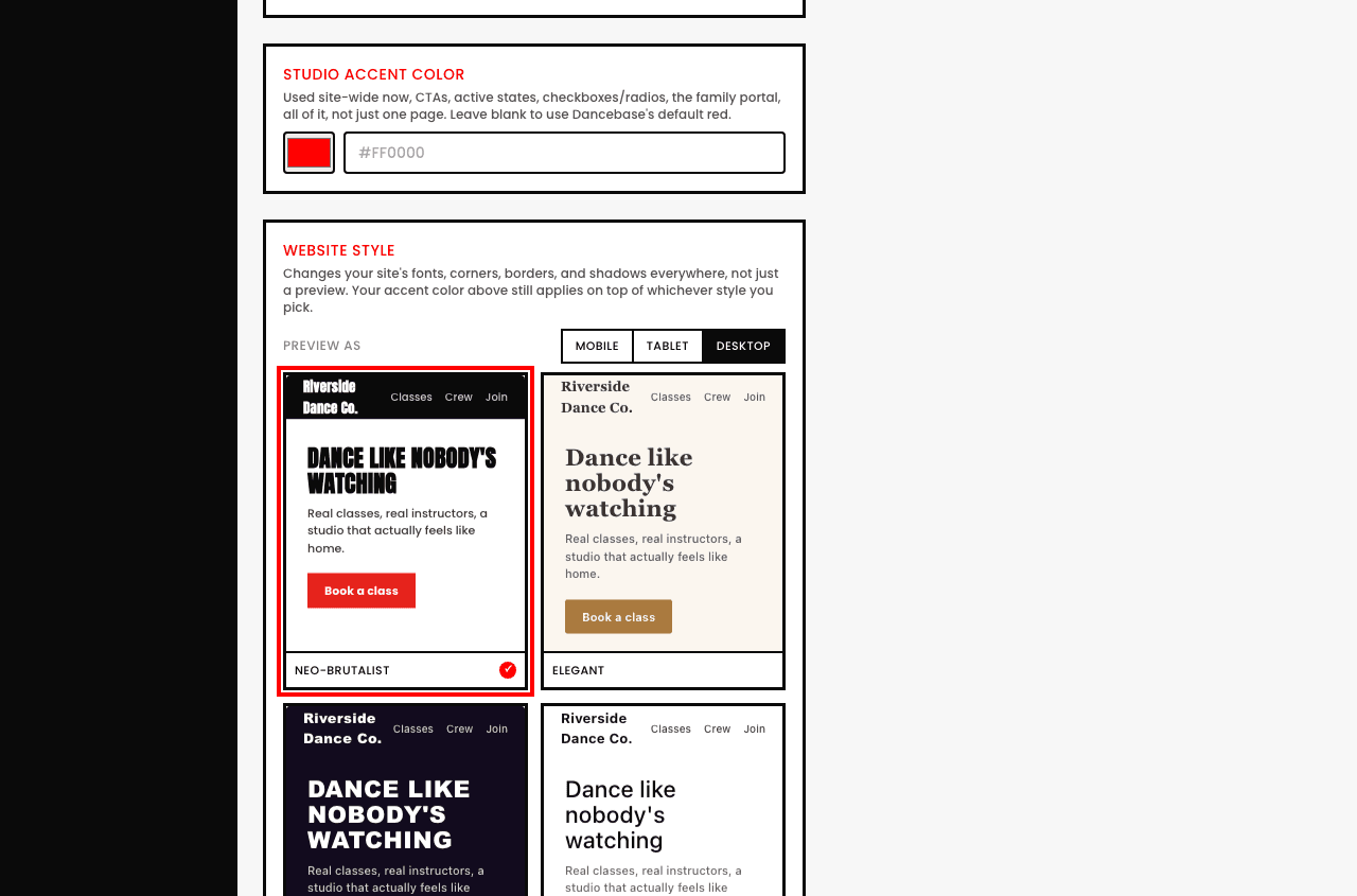 Studio Settings page showing the Studio Accent Color picker and the Website Style picker with live theme previews including Neo-Brutalist, Elegant, Bold & Vibrant, and Minimal